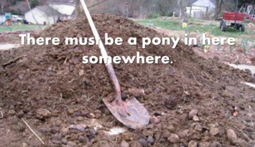 digging-for-pony
